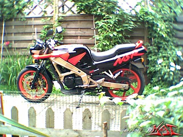 1992 HONDA NSR 125 | Picture 28023 motorcycle photo