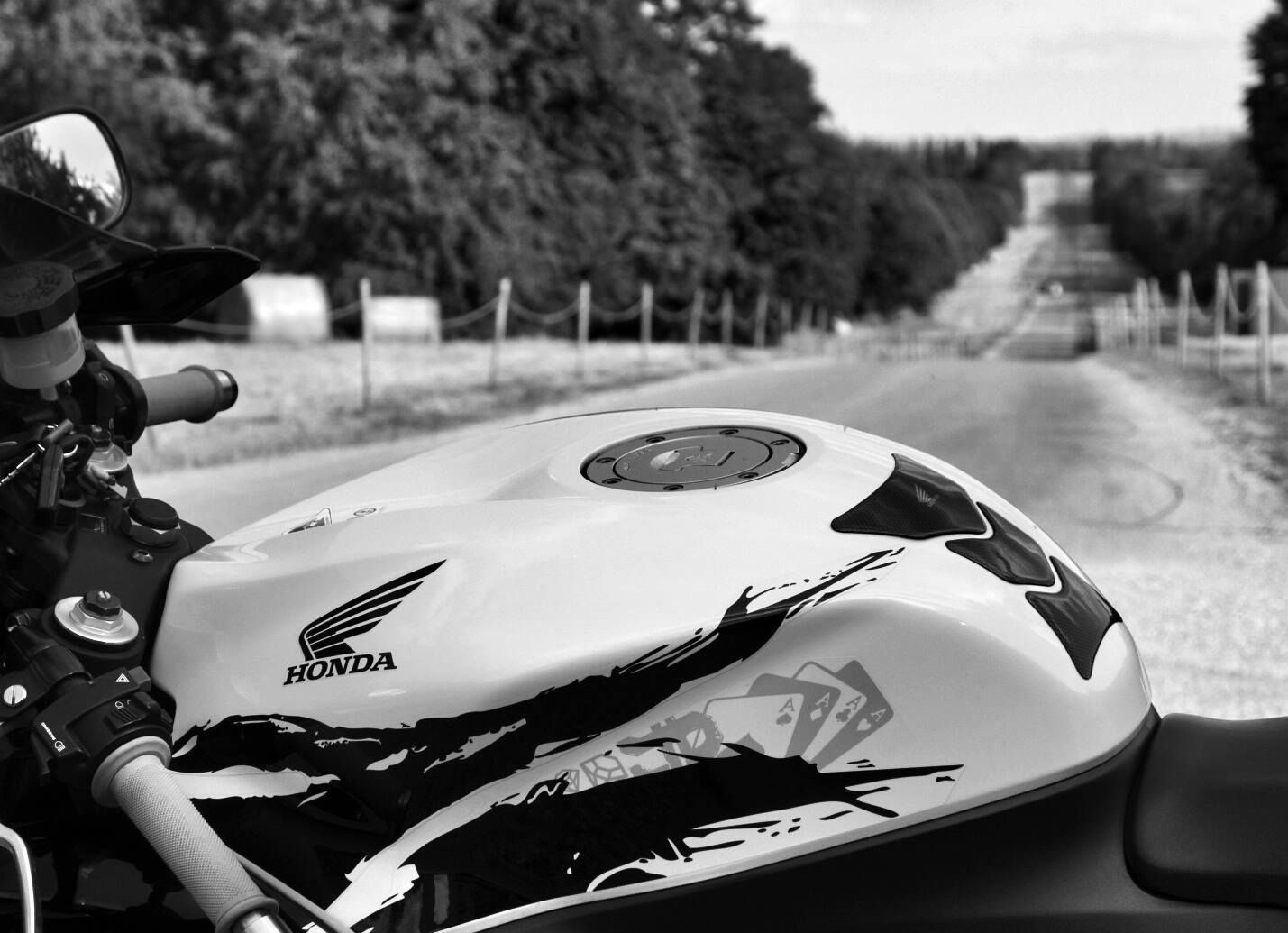 2010 HONDA CBR 600 RR | Picture 2802304 motorcycle photo