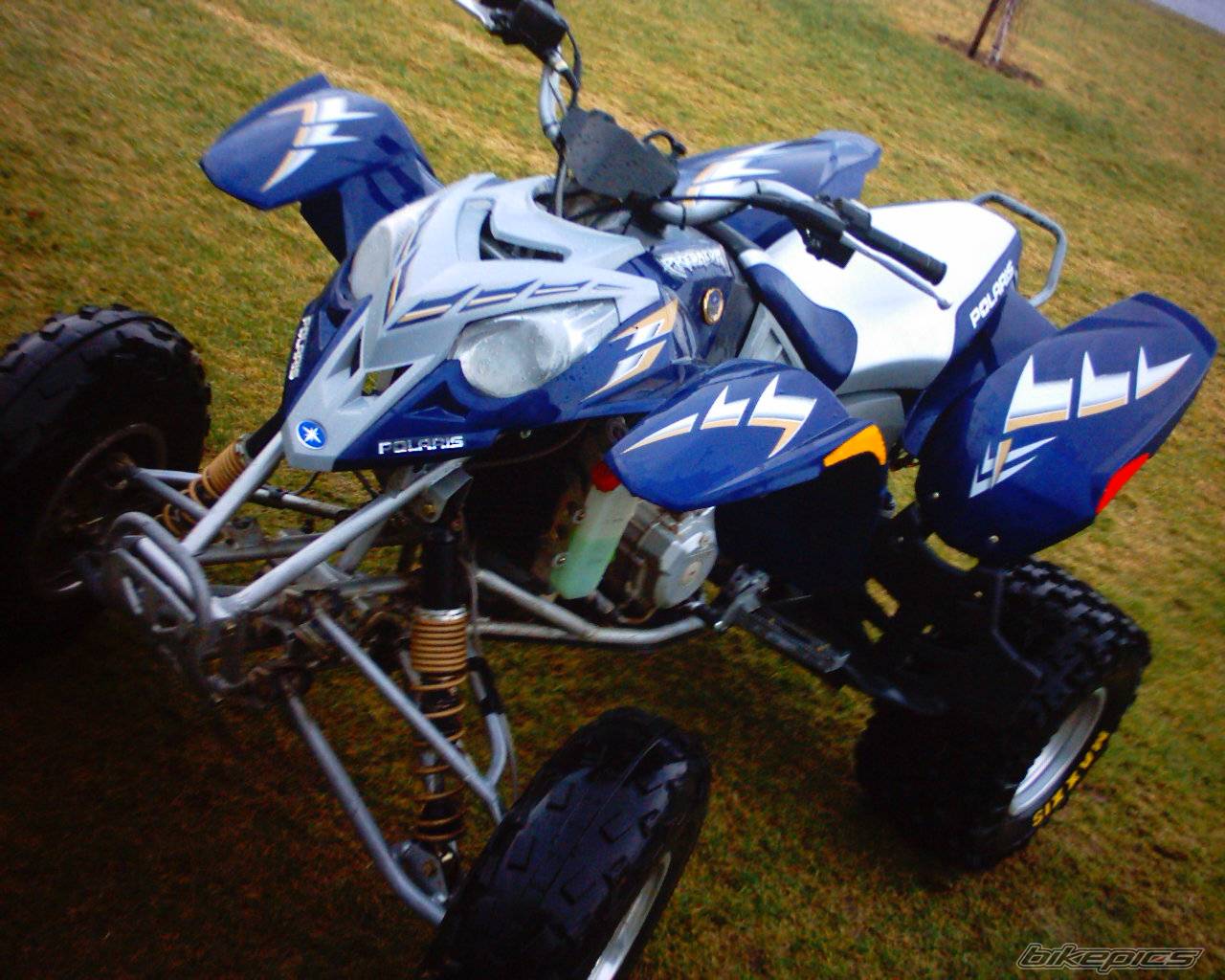 2004 POLARIS PREDATOR 500 | Picture 280231 motorcycle photo