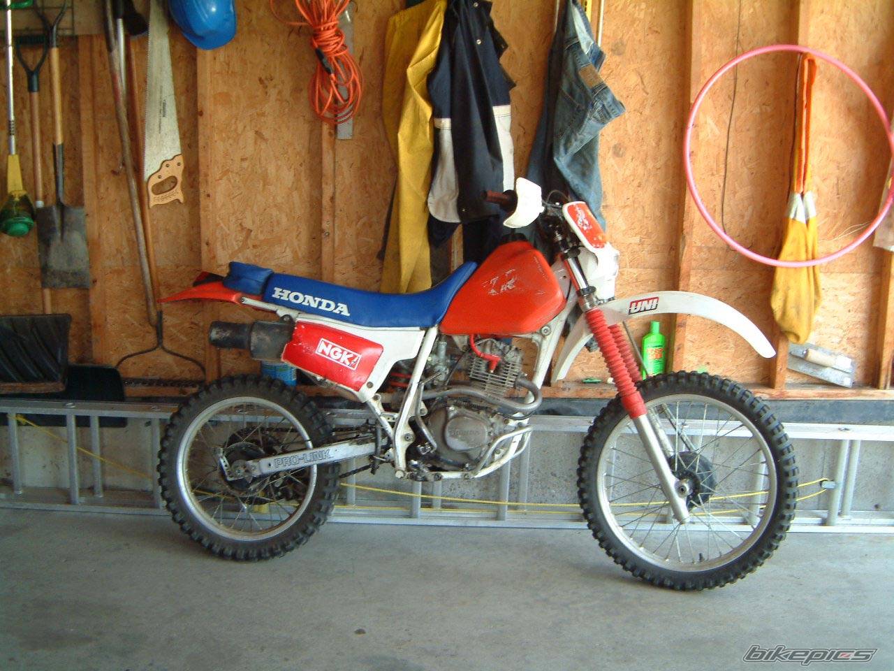 1988 HONDA XR 200 | Picture 28024 motorcycle photo