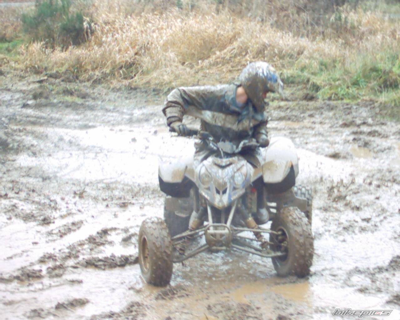 2004 POLARIS PREDATOR 500 | Picture 280248 motorcycle photo