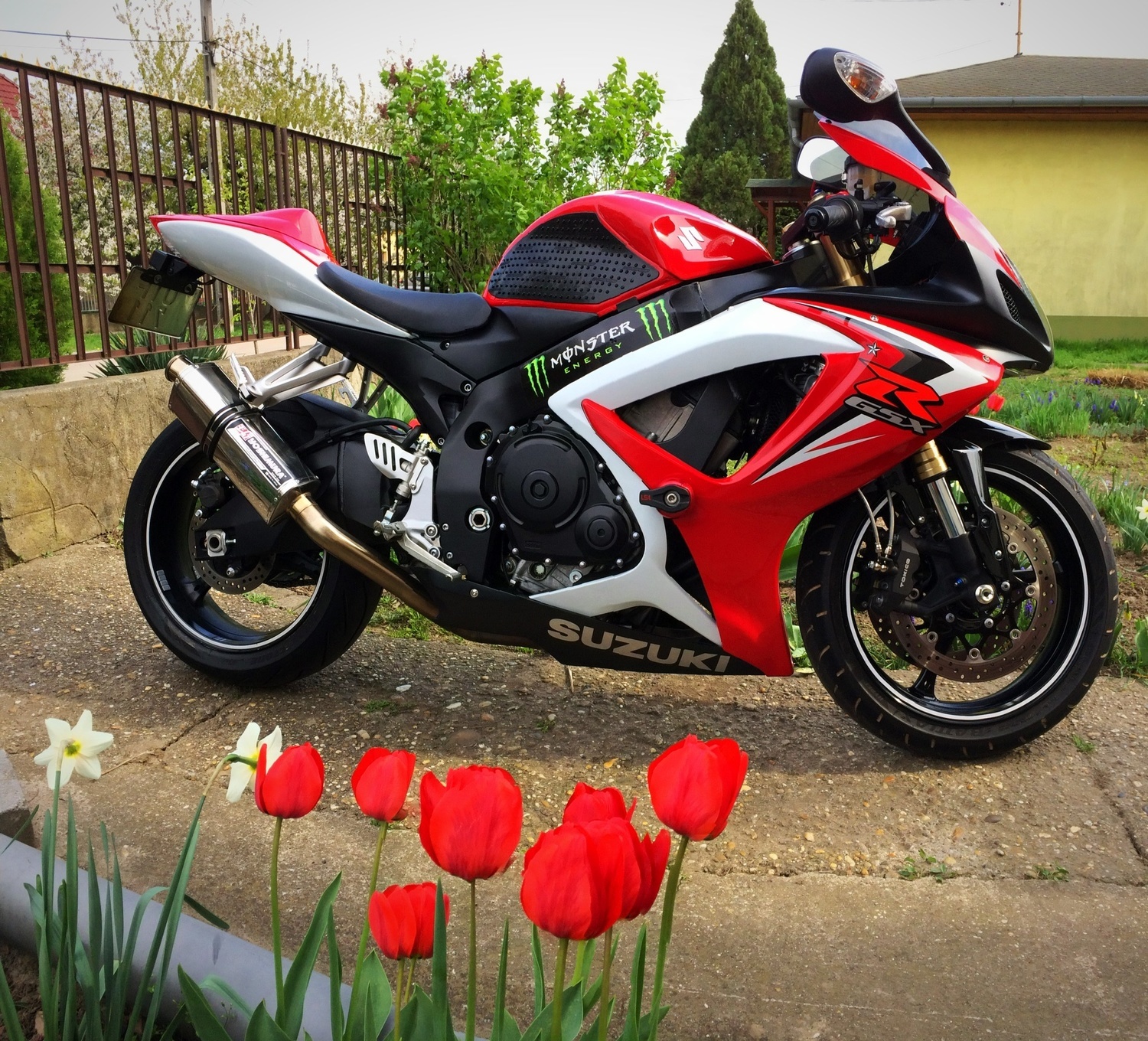 2007 SUZUKI GSX R 600 | Picture 2804040 motorcycle photo