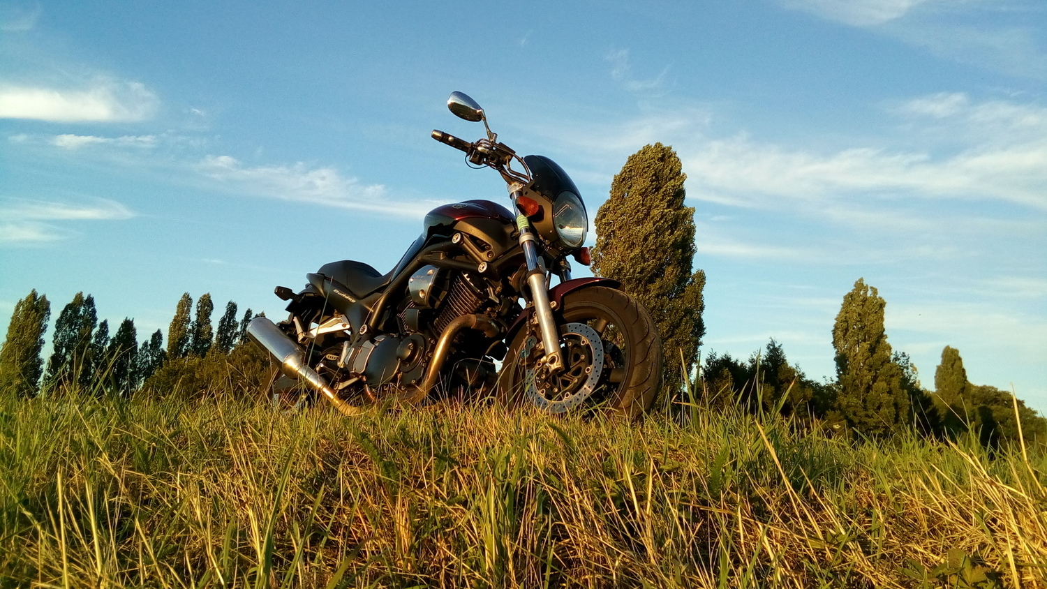2005 YAMAHA BULLDOG | Picture 2804070 motorcycle photo
