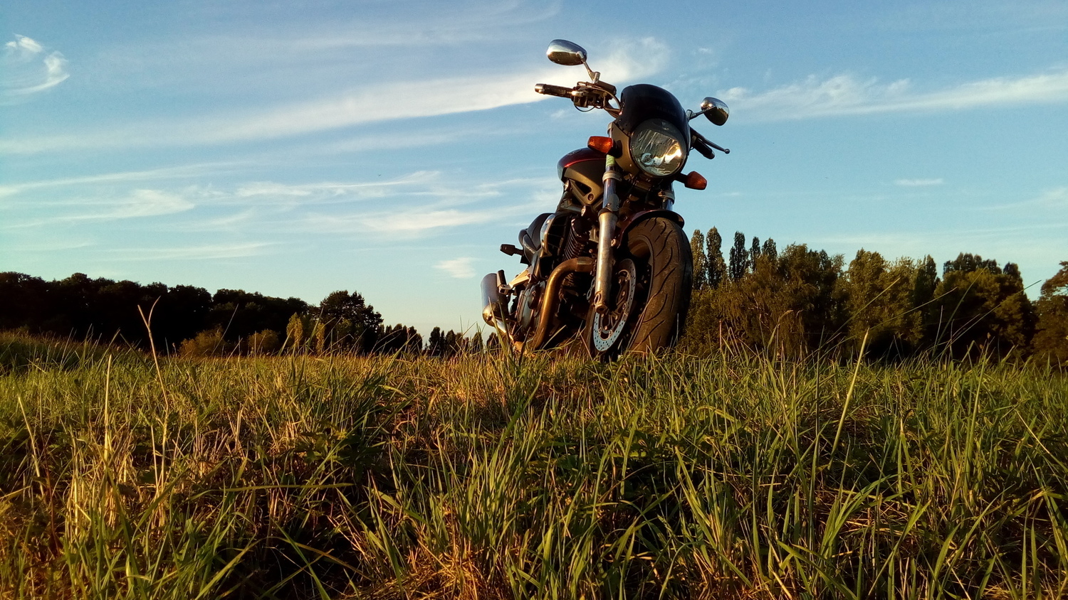 2005 YAMAHA BULLDOG | Picture 2804071 motorcycle photo