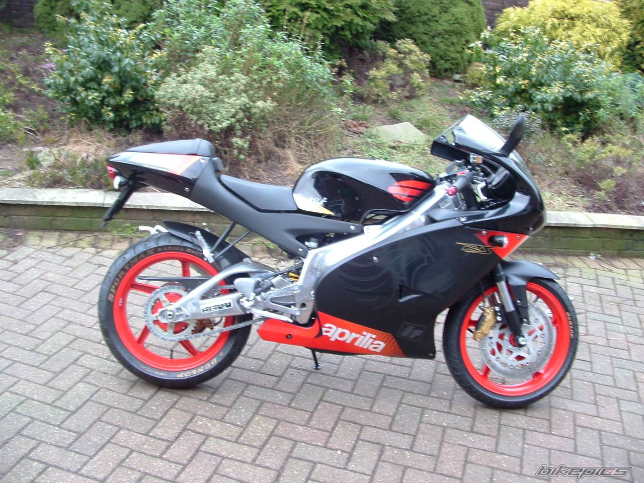 2005 APRILIA RS 125 | Picture 280430 motorcycle photo