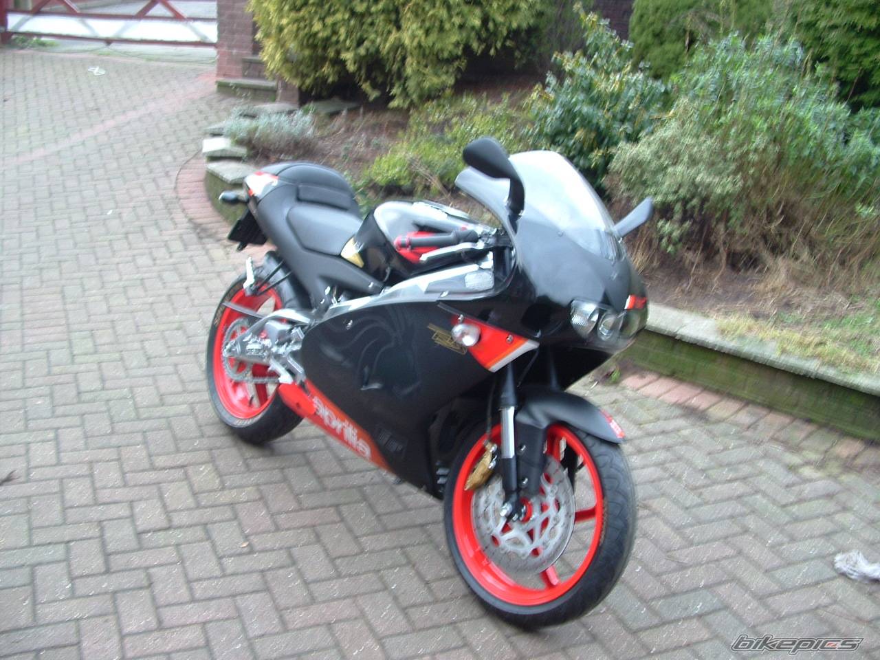 2005 APRILIA RS 125 | Picture 280433 motorcycle photo