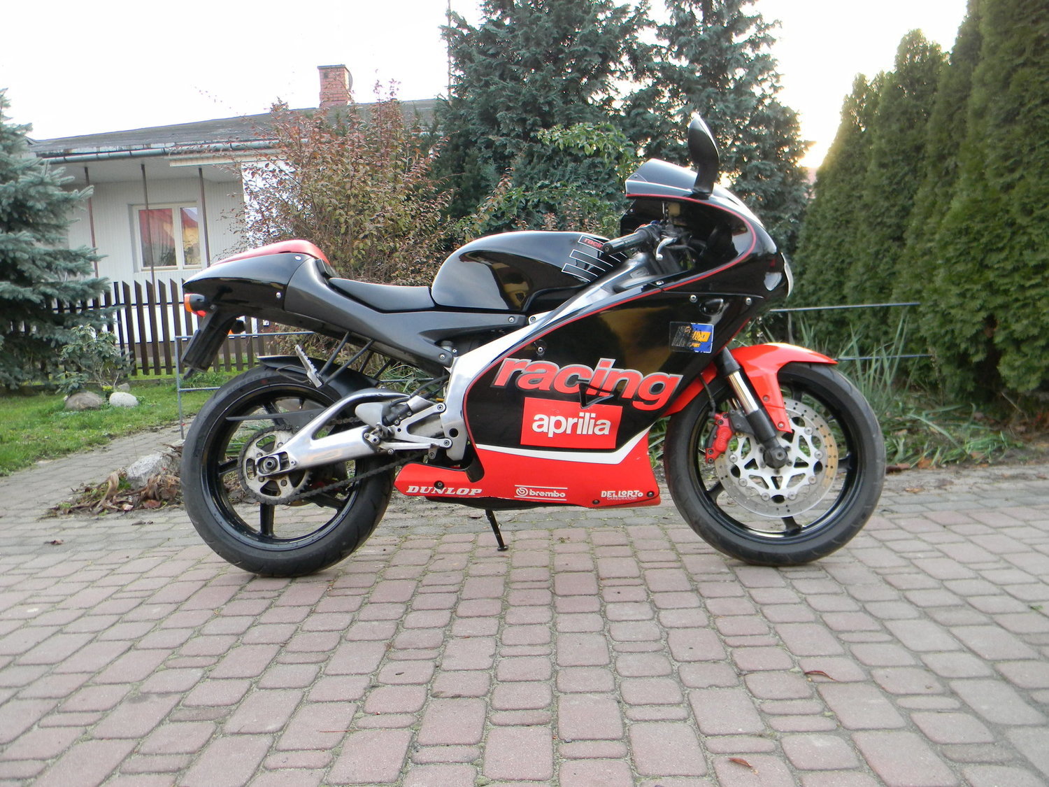 2001 APRILIA RS 125 | Picture 2804370 motorcycle photo