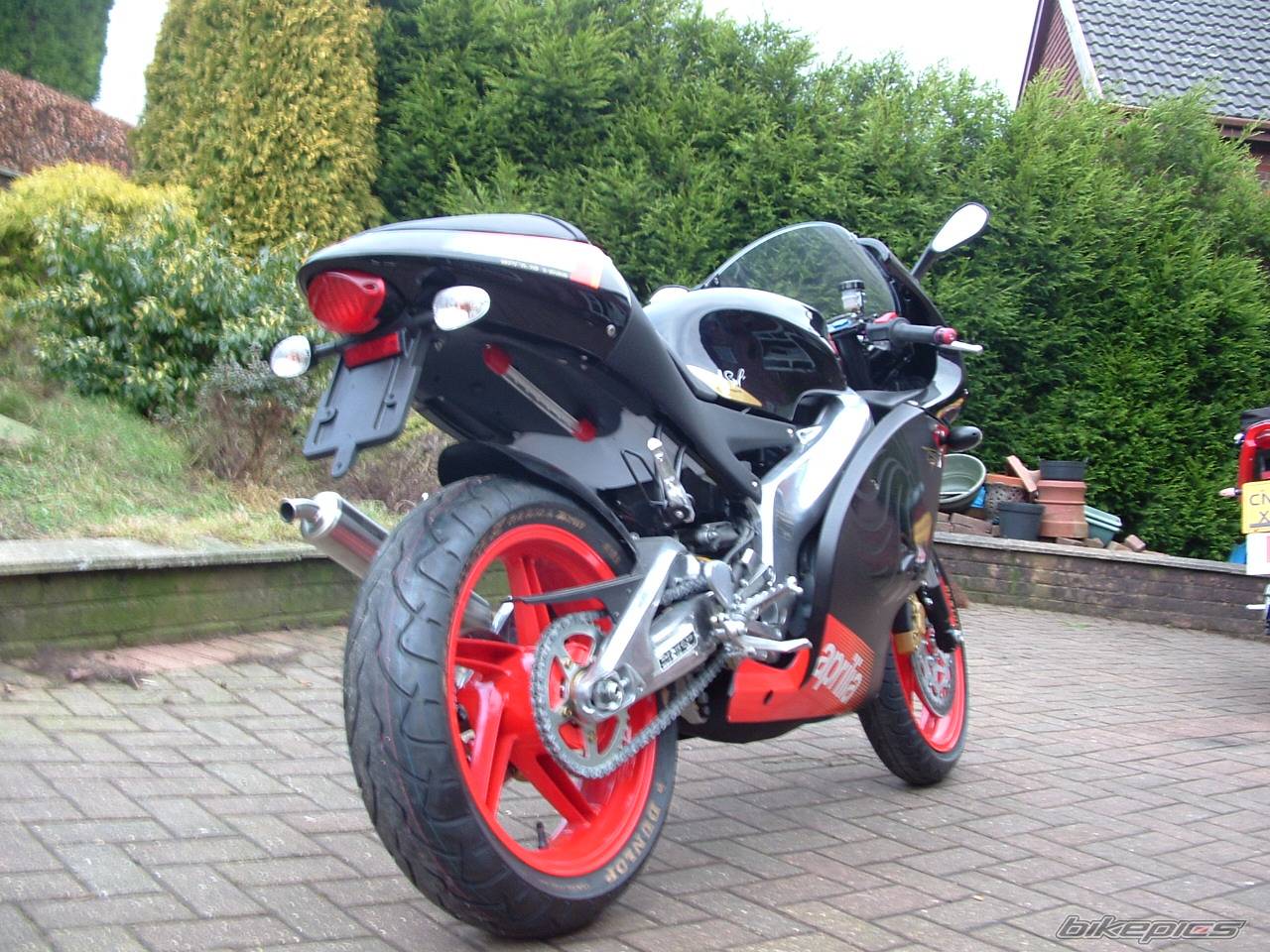 2005 APRILIA RS 125 | Picture 280456 motorcycle photo
