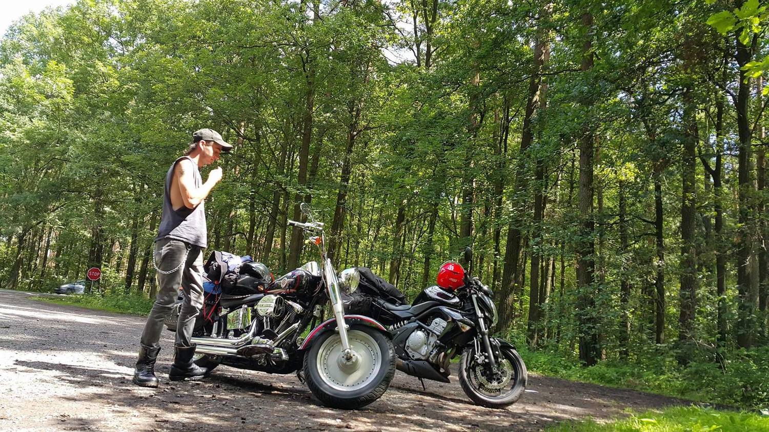 1999 HARLEY DAVIDSON FLSTF | Picture 2804583 motorcycle photo
