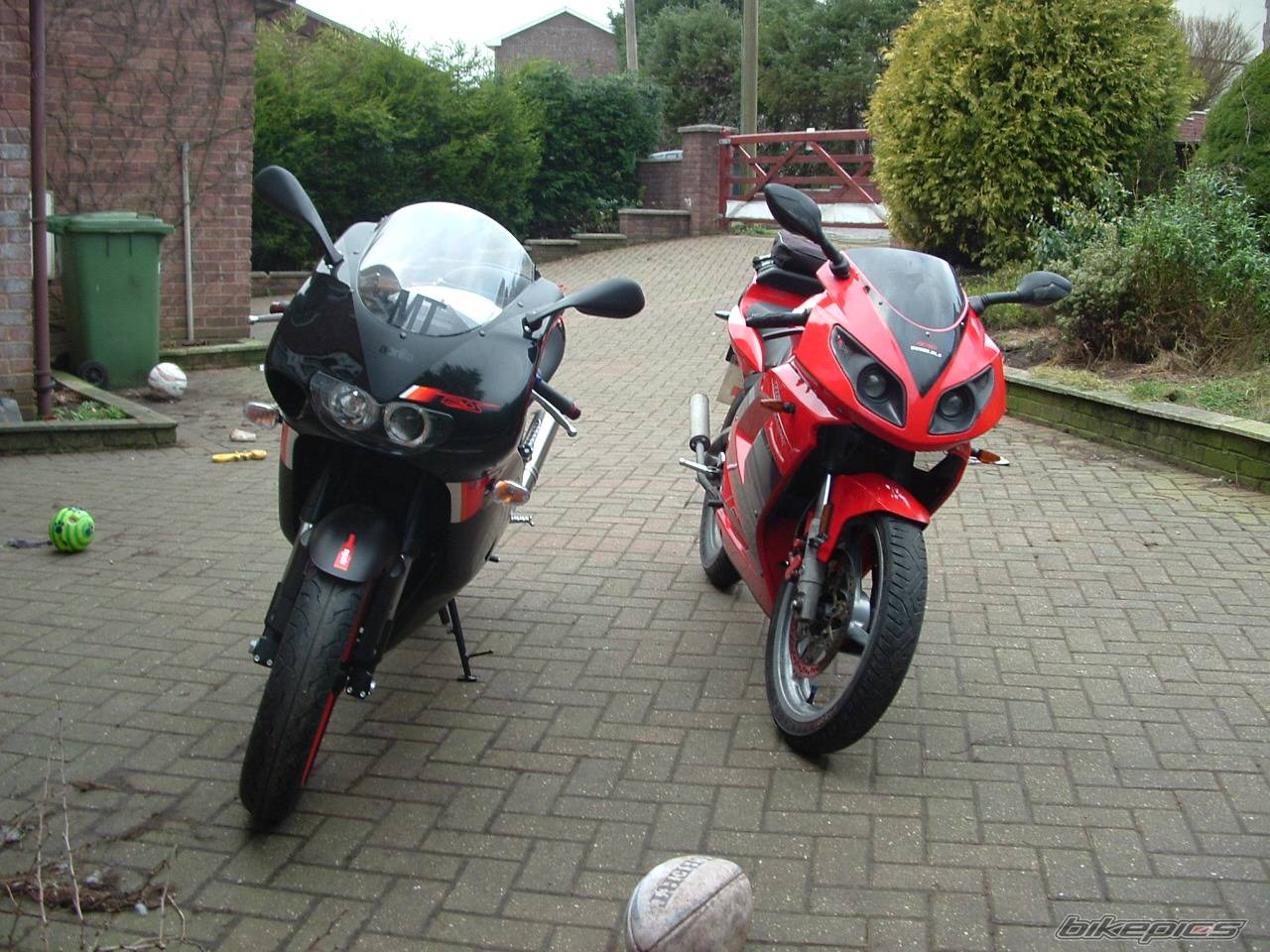 2005 APRILIA RS 125 | Picture 280470 motorcycle photo