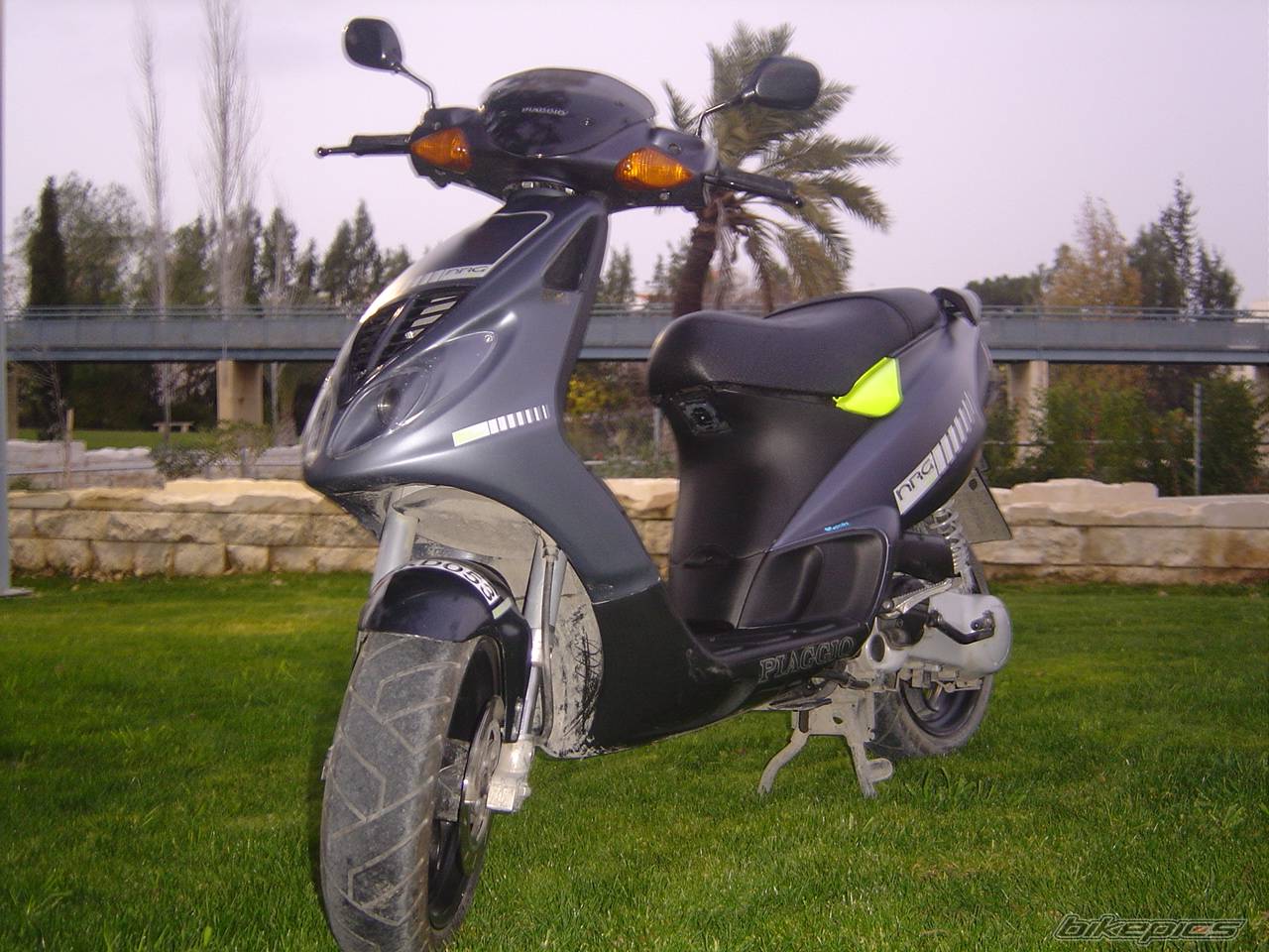 2004 PIAGGIO NRG | Picture 280508 motorcycle photo