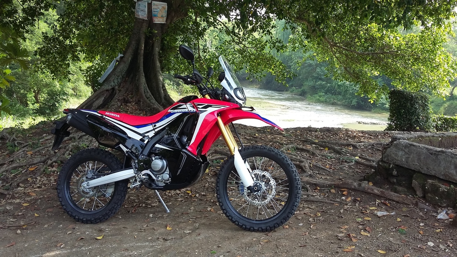 2017 HONDA CRF 250 | Picture 2805353 motorcycle photo