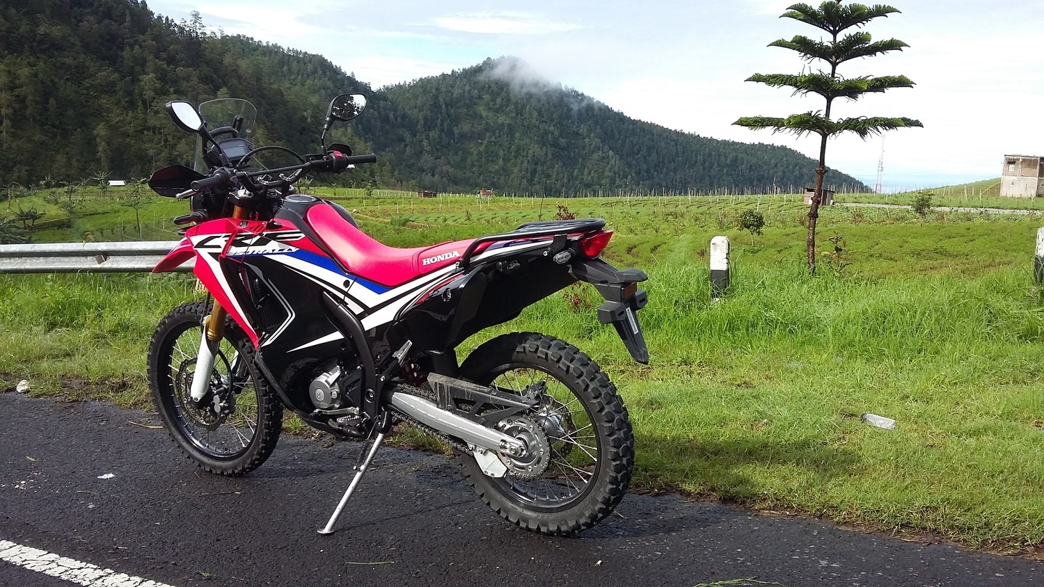 2017 HONDA CRF 250 | Picture 2805354 motorcycle photo