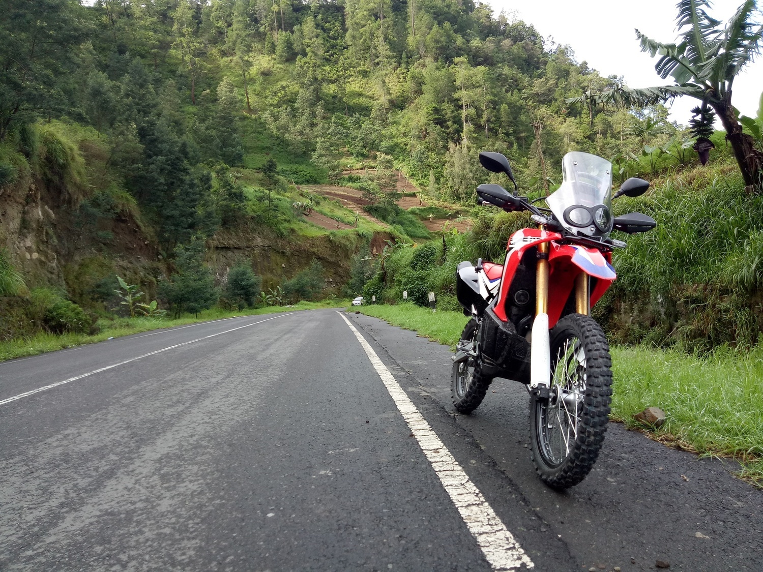 2017 HONDA CRF 250 | Picture 2805357 motorcycle photo
