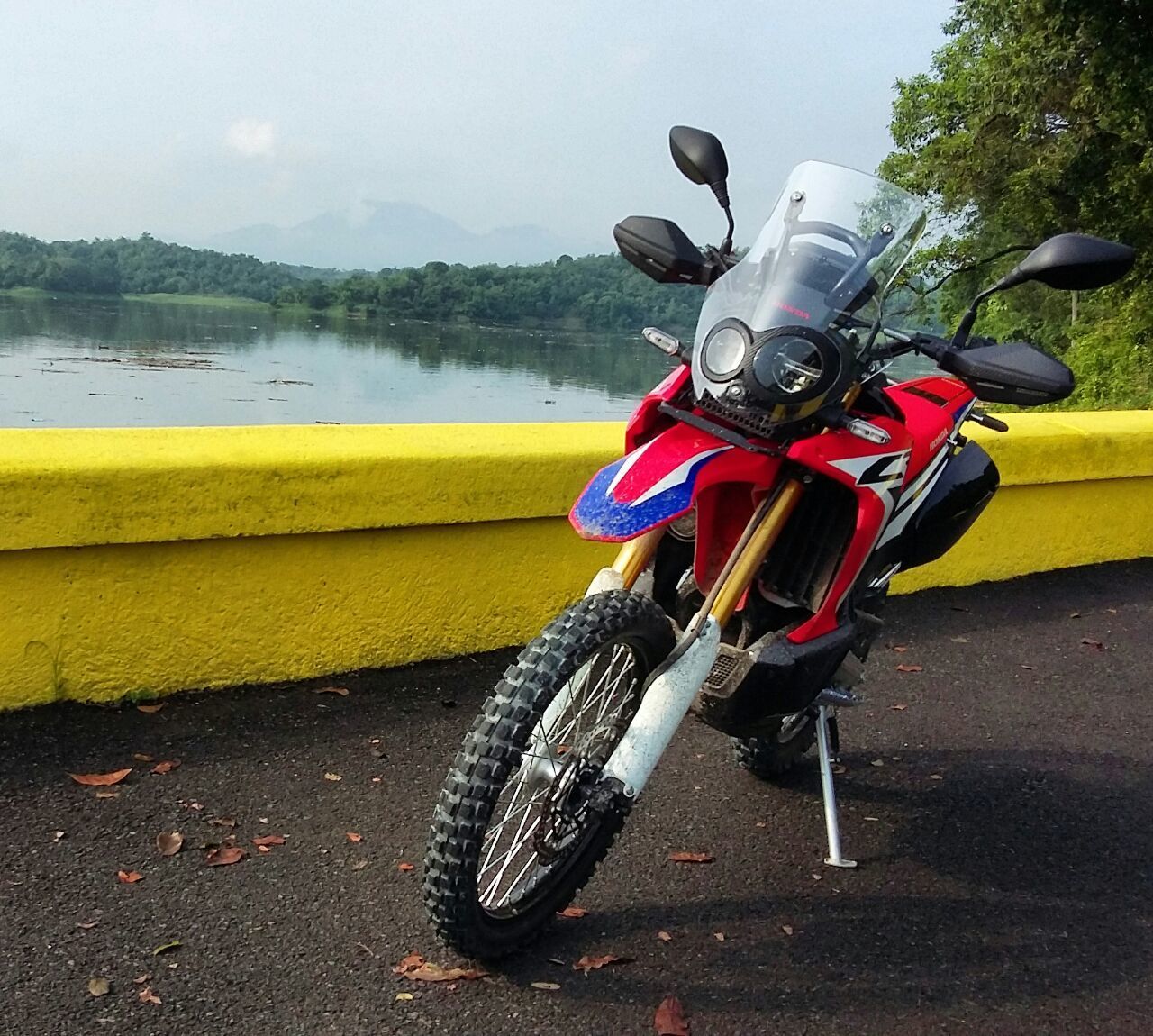 2017 HONDA CRF 250 | Picture 2805377 motorcycle photo