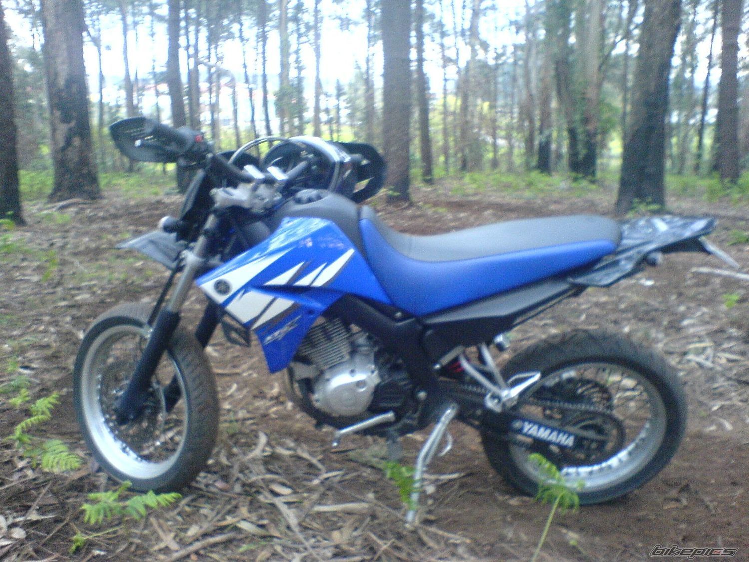 2006 YAMAHA XT 125 | Picture 2805792 motorcycle photo
