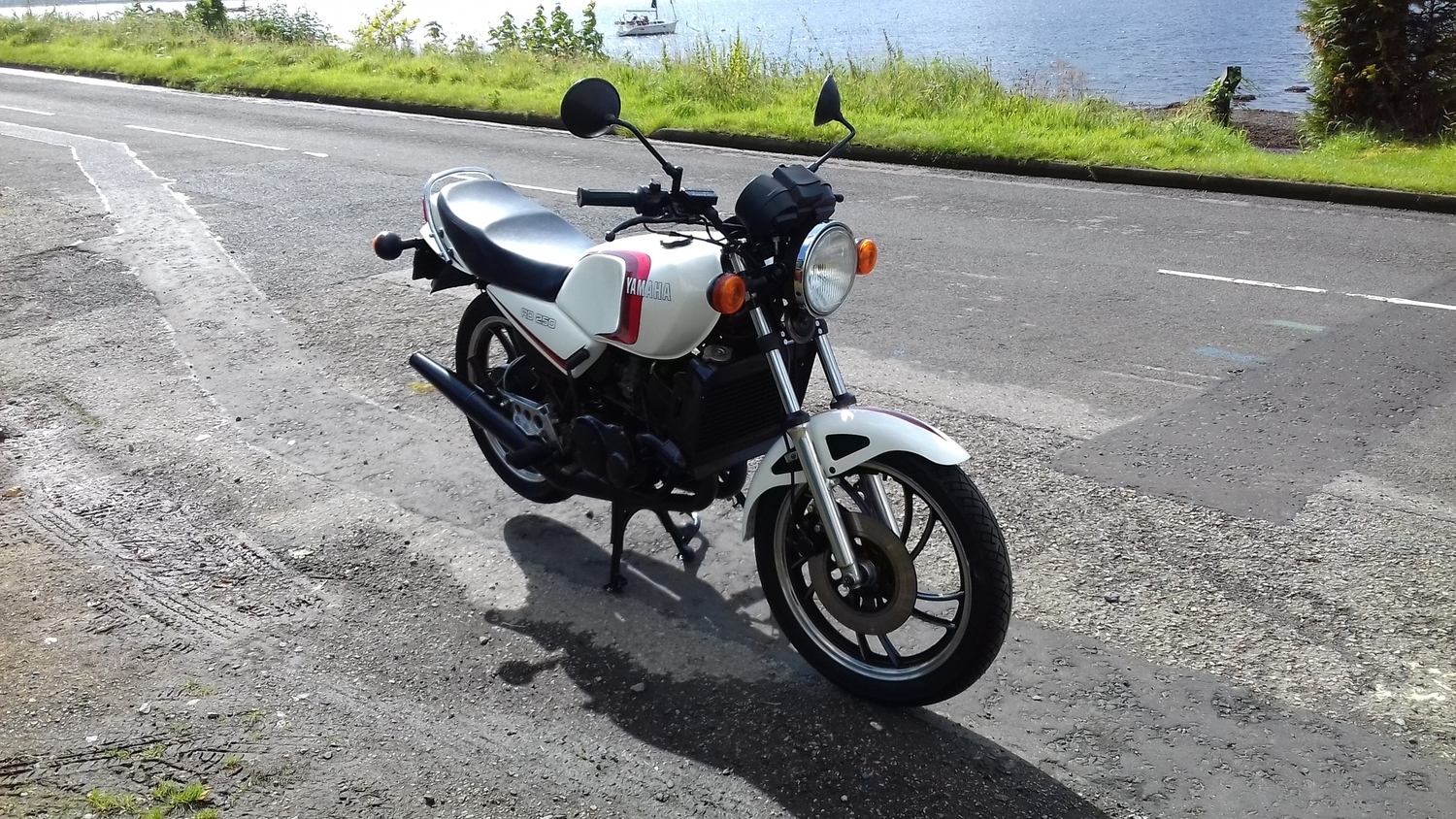 1980 YAMAHA RD250LC | Picture 2806346 motorcycle photo