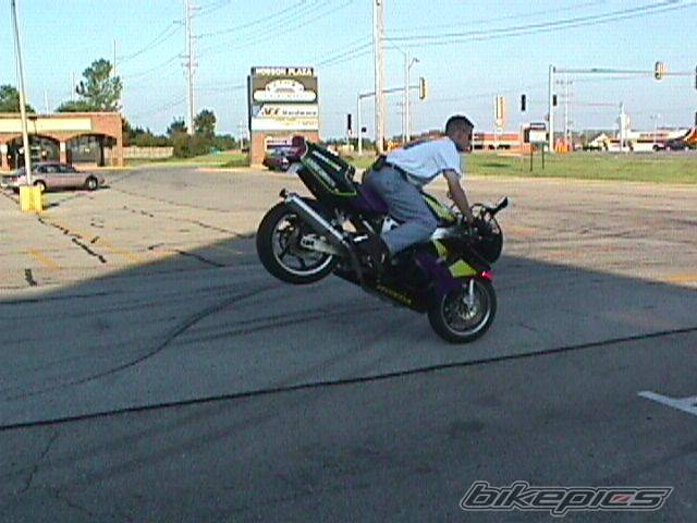 1994 HONDA CBR 900 | Picture 280712 motorcycle photo