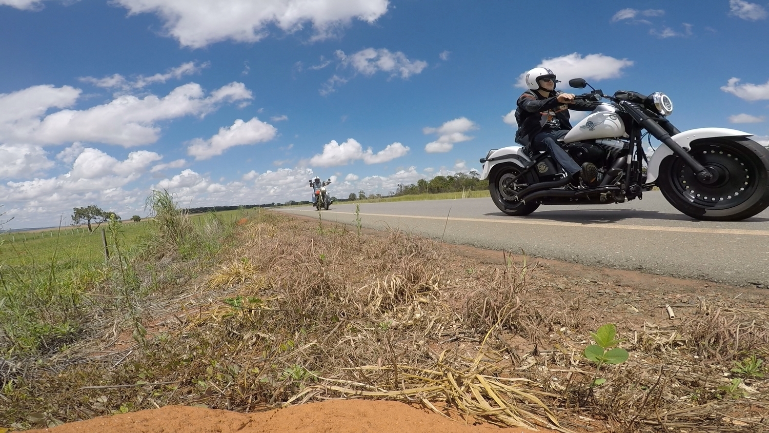 2011 HARLEY DAVIDSON FAT BOY LO | Picture 2807125 motorcycle photo