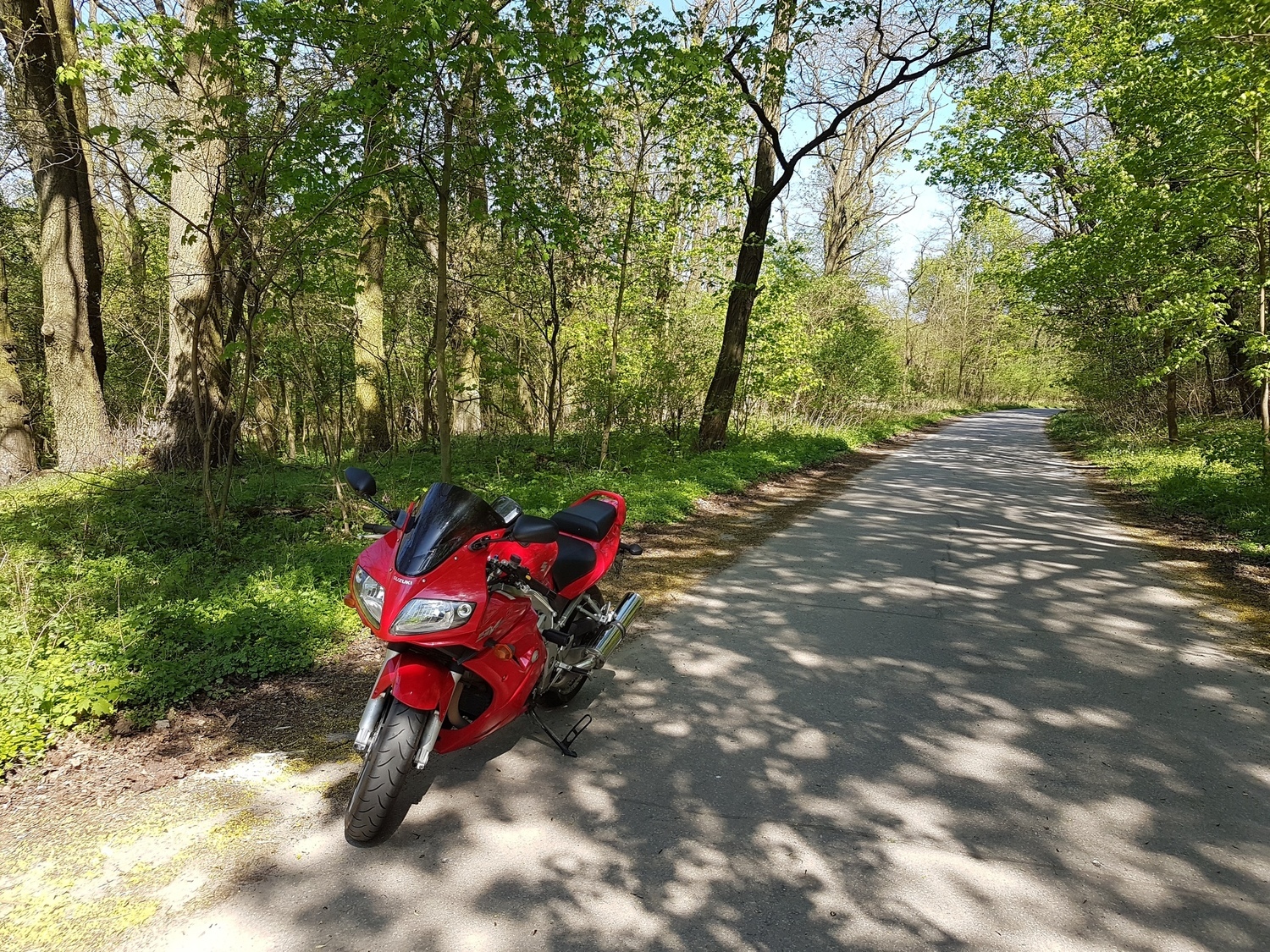 2005 SUZUKI SV 1000 S | Picture 2807278 motorcycle photo