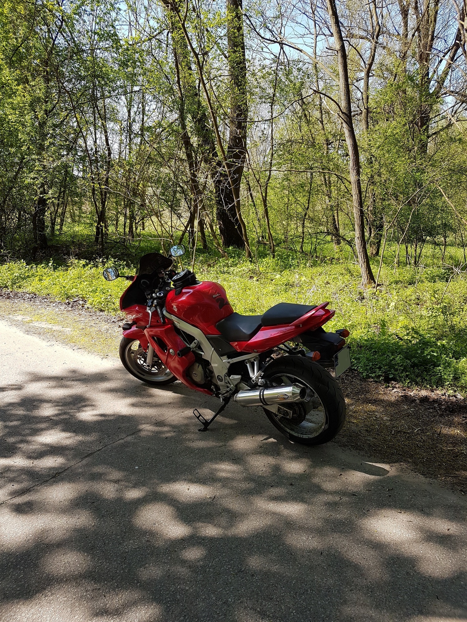 2005 SUZUKI SV 1000 S | Picture 2807280 motorcycle photo