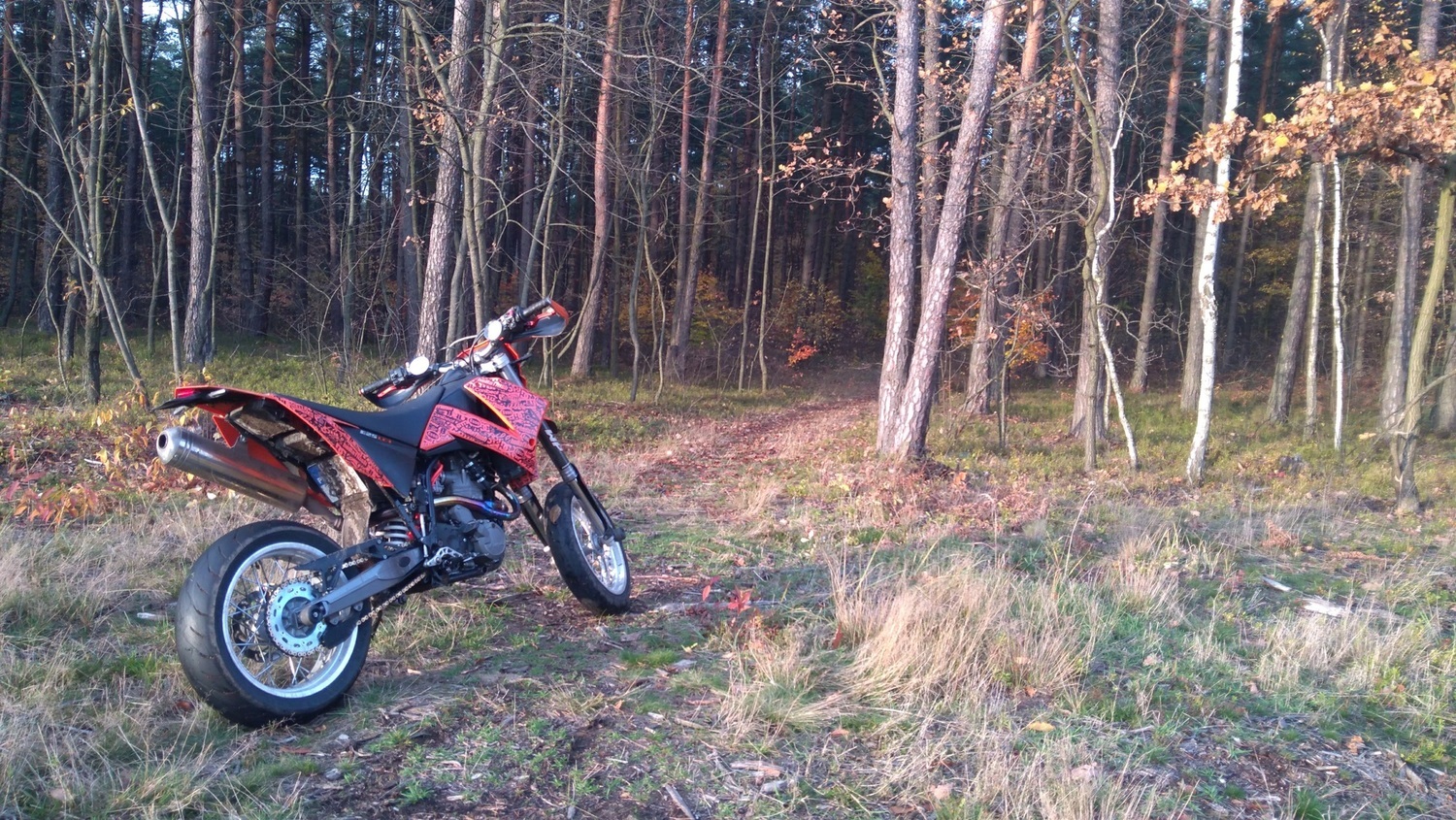 2003 KTM LC4 640 SM | Picture 2807924 motorcycle photo