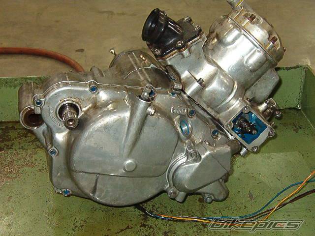 1988 SUZUKI QUADRACER 250 | Picture 280851 motorcycle photo