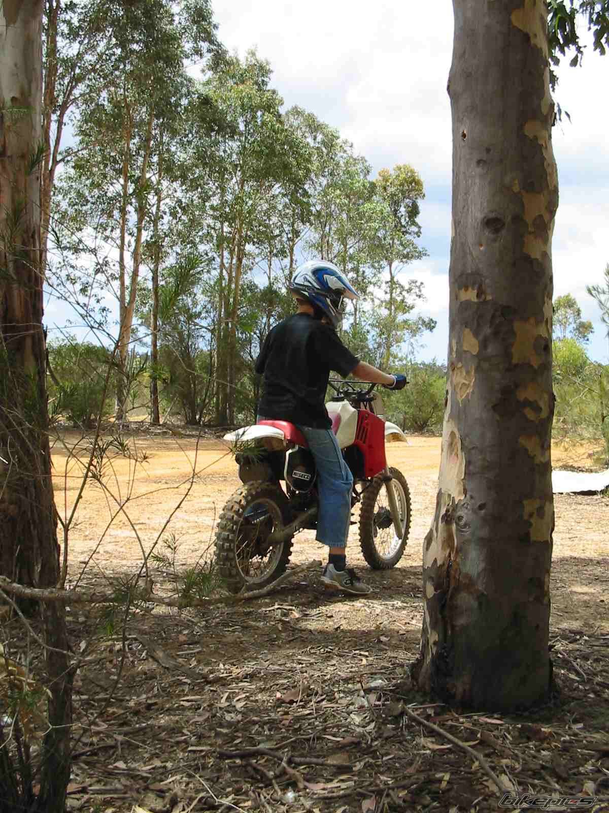 1984 YAMAHA YZ 80 | Picture 280929 motorcycle photo