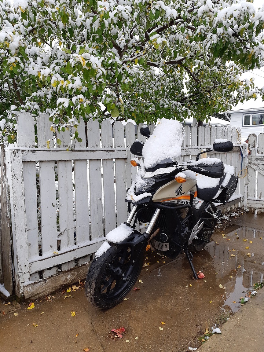 2016 HONDA CB500X | Picture 2810164 motorcycle photo