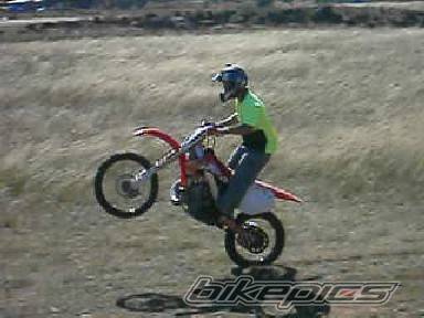 2001 HONDA CR 250 | Picture 281039 motorcycle photo