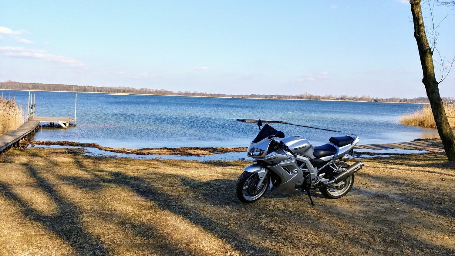 2004 SUZUKI SV1000S | Picture 2810462 motorcycle photo