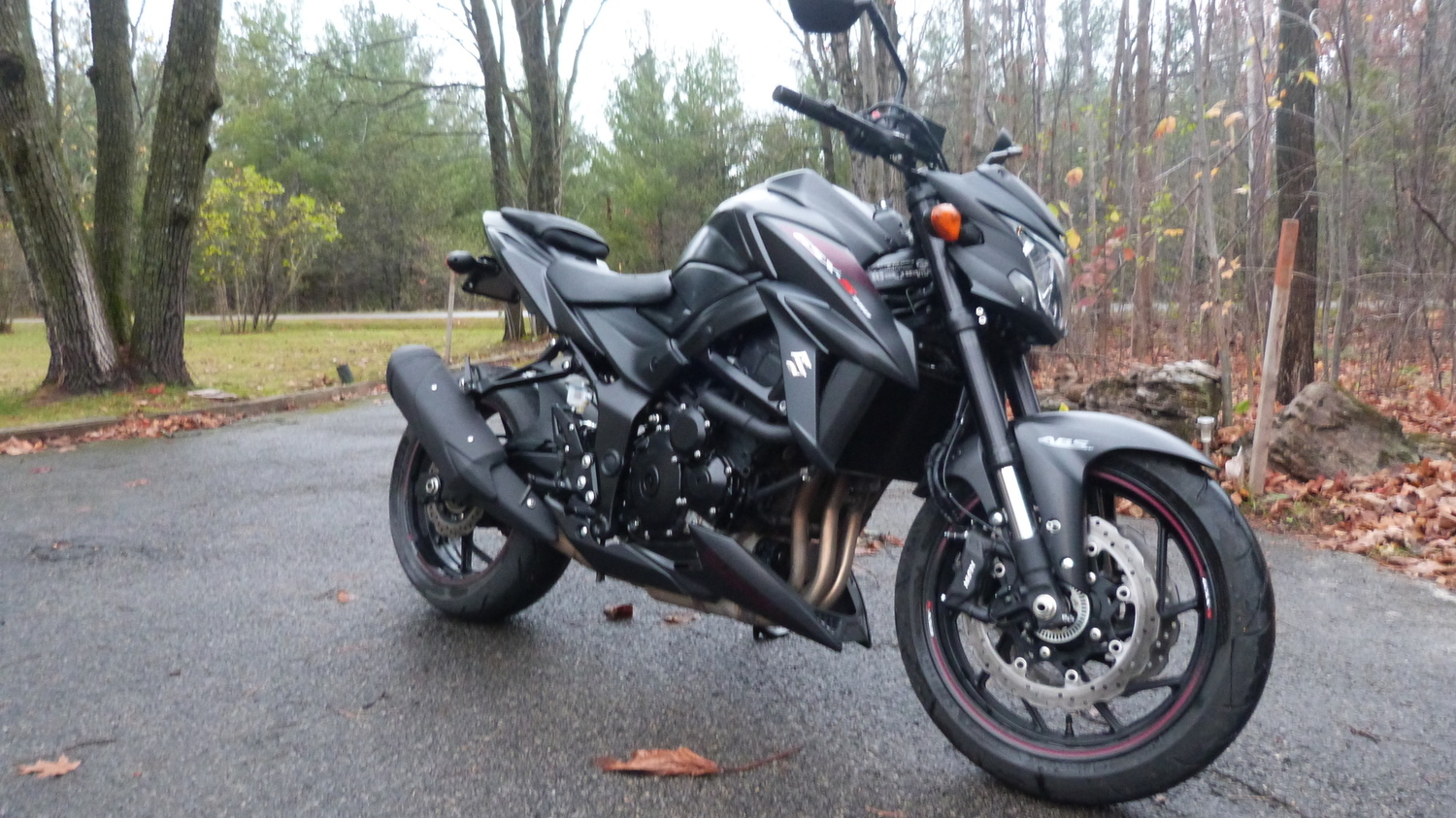 2017 SUZUKI GSX S | Picture 2811020 motorcycle photo