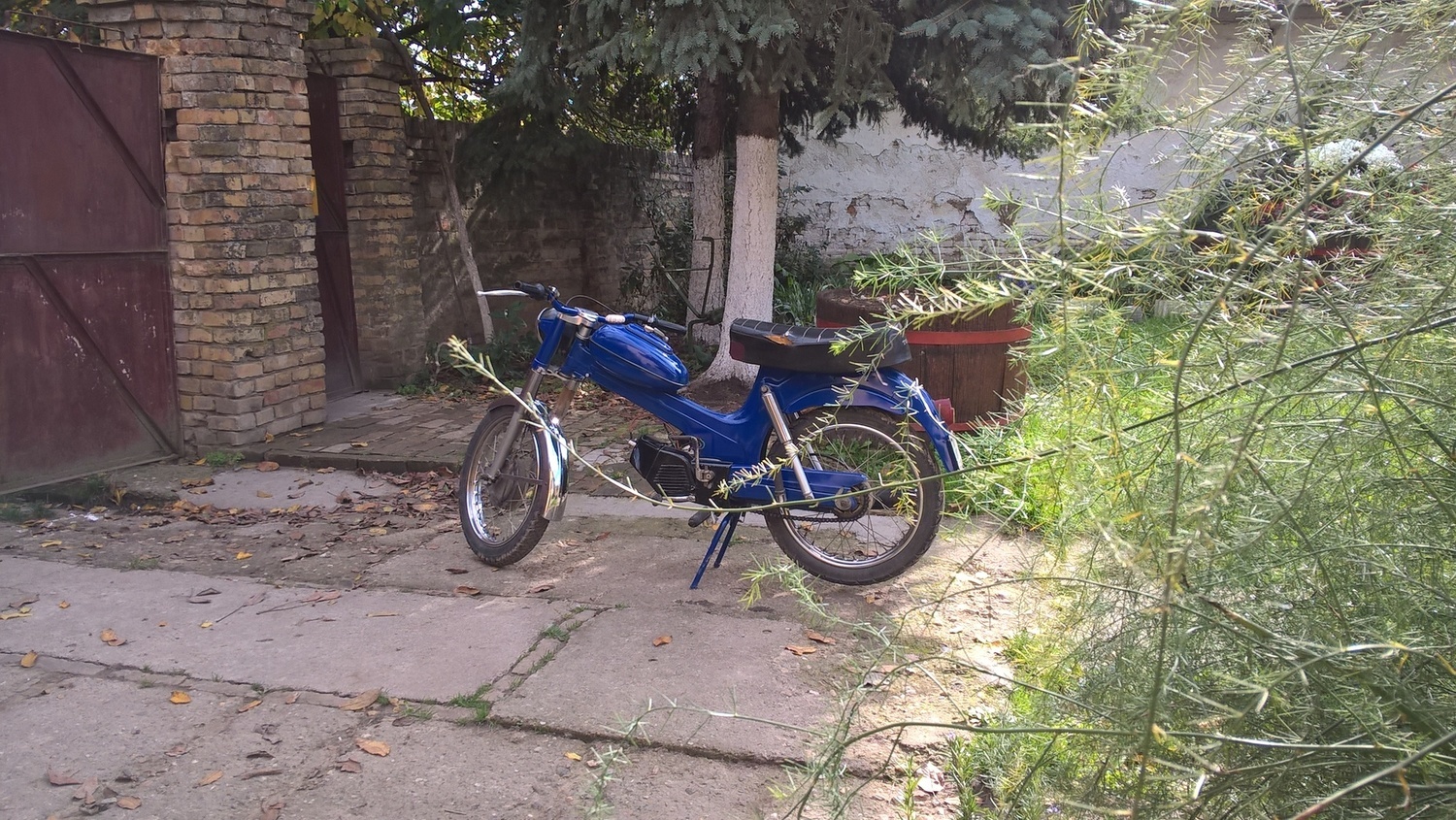 1974 TOMOS APN 4 | Picture 2811161 motorcycle photo