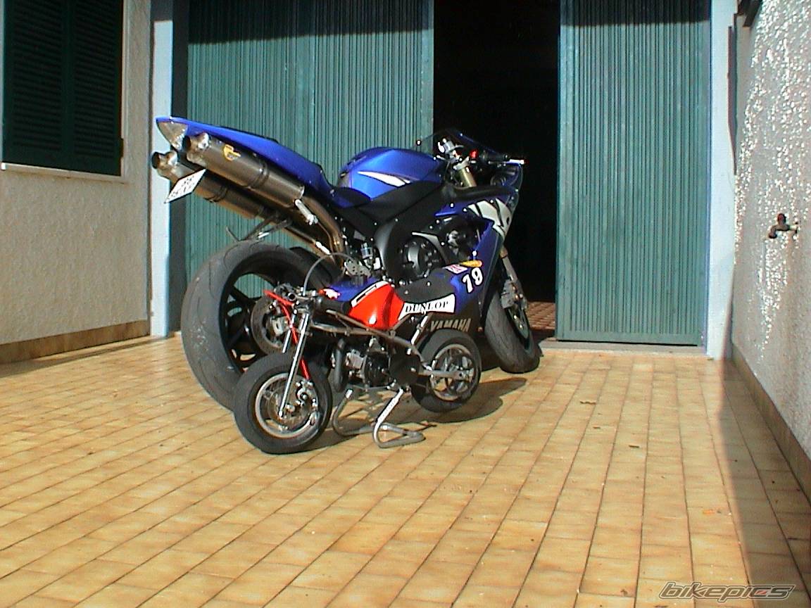 2004 BLATA REPLICA | Picture 281147 motorcycle photo