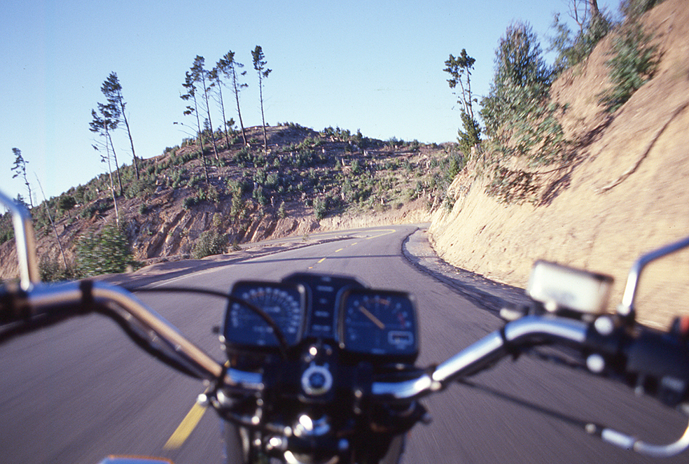1979 YAMAHA XS ELEVEN | Picture 2811720 motorcycle photo