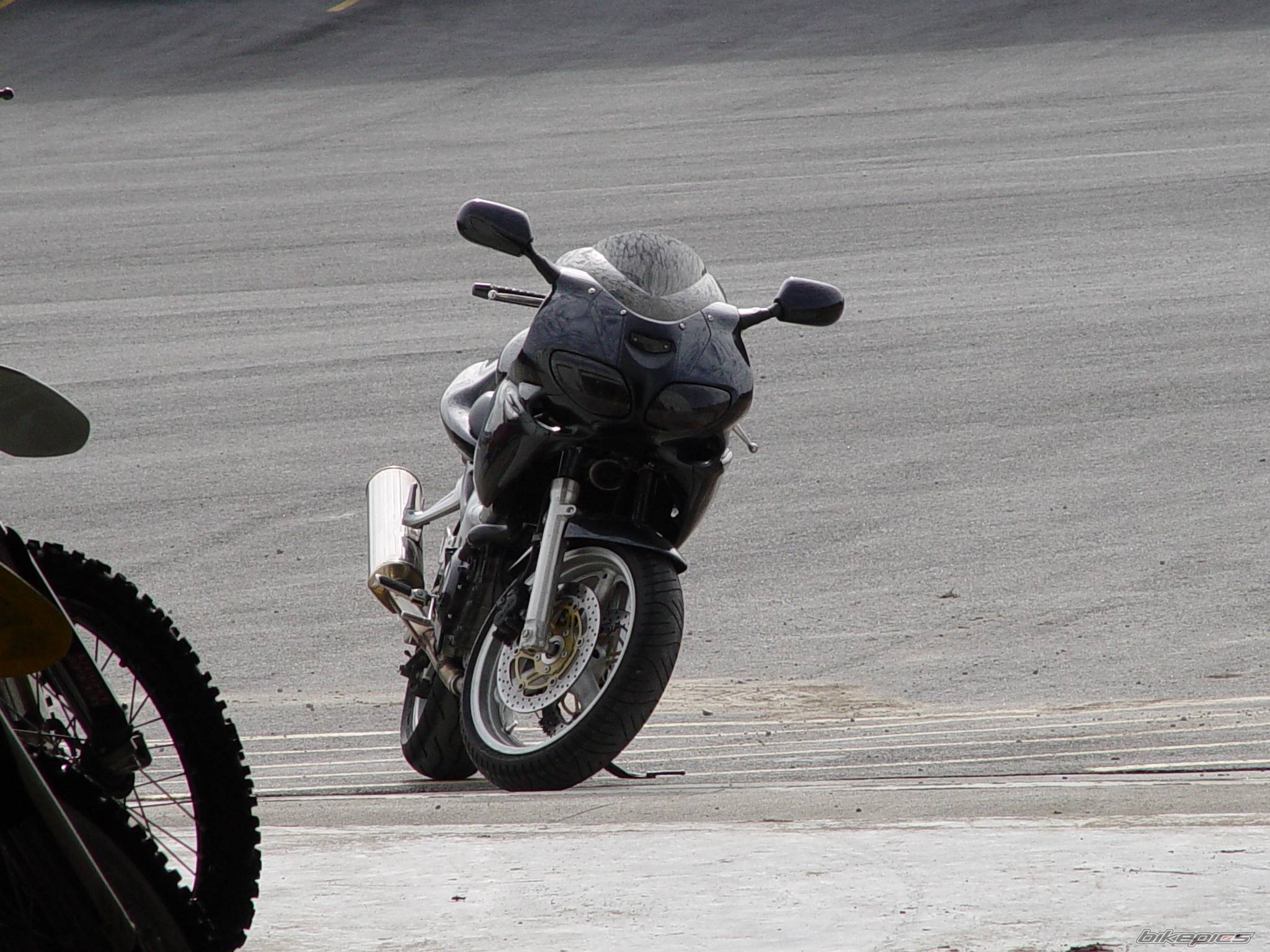 2001 SUZUKI SV 650S | Picture 281326 motorcycle photo