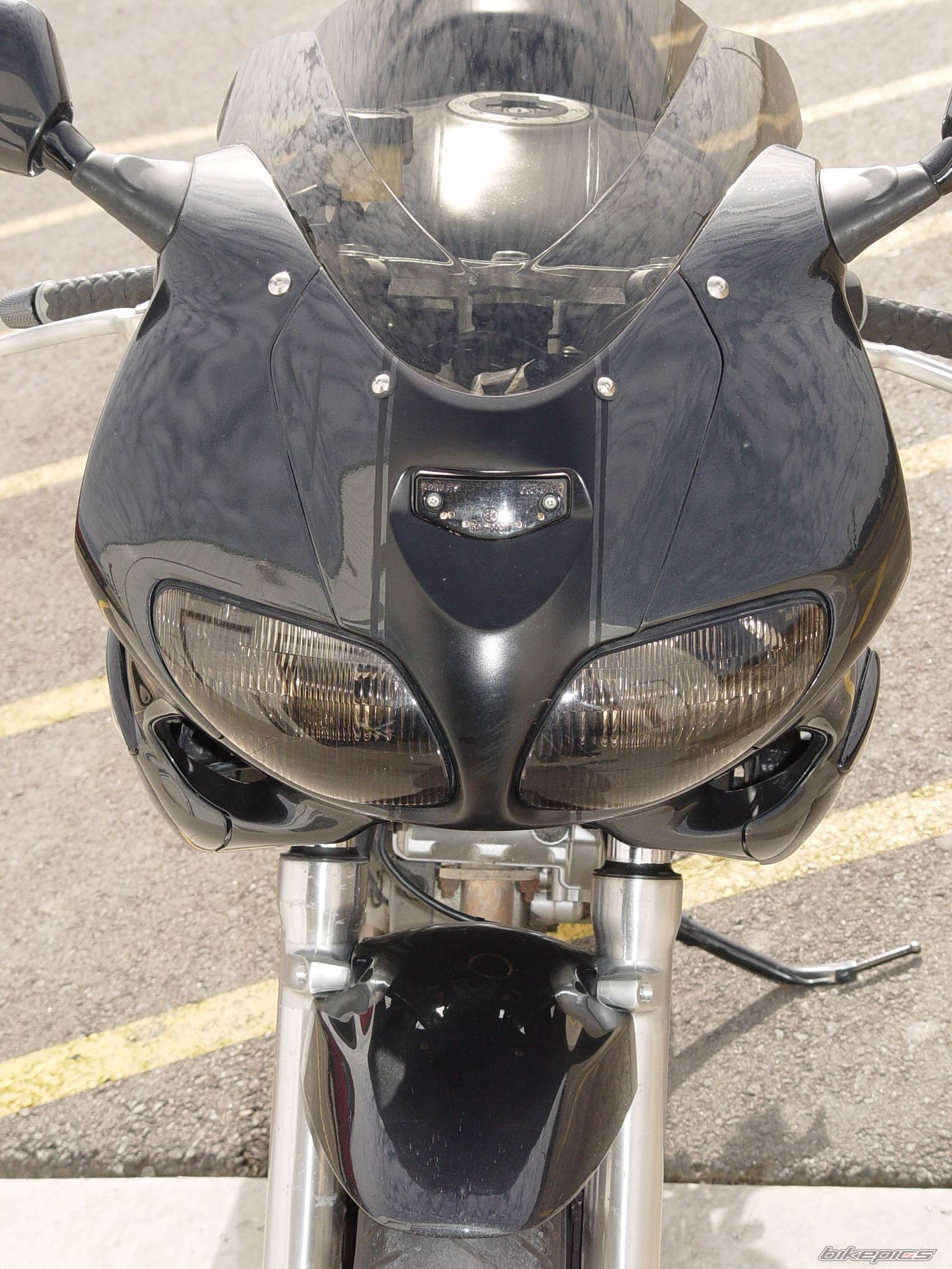 2001 SUZUKI SV 650S | Picture 281336 motorcycle photo