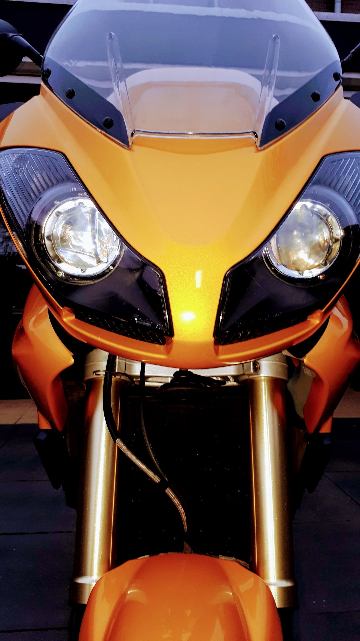 2007 TRIUMPH TIGER 1050 | Picture 2813394 motorcycle photo