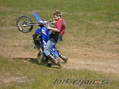2003 YAMAHA PW 80 | Picture 281519 motorcycle photo