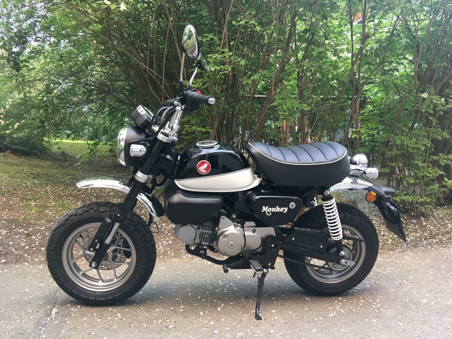 2018 HONDA HONDA MONKEY Z50J | Picture 2815613 motorcycle photo