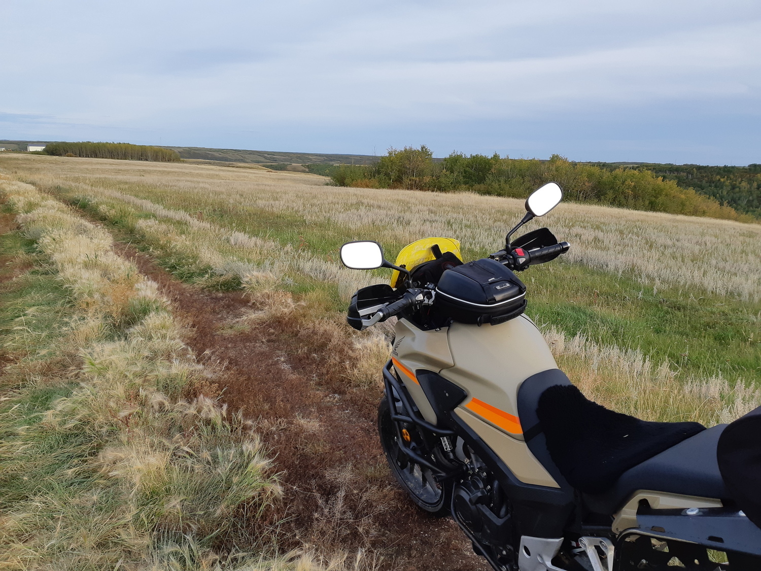 2016 HONDA CB500X | Picture 2816089 motorcycle photo