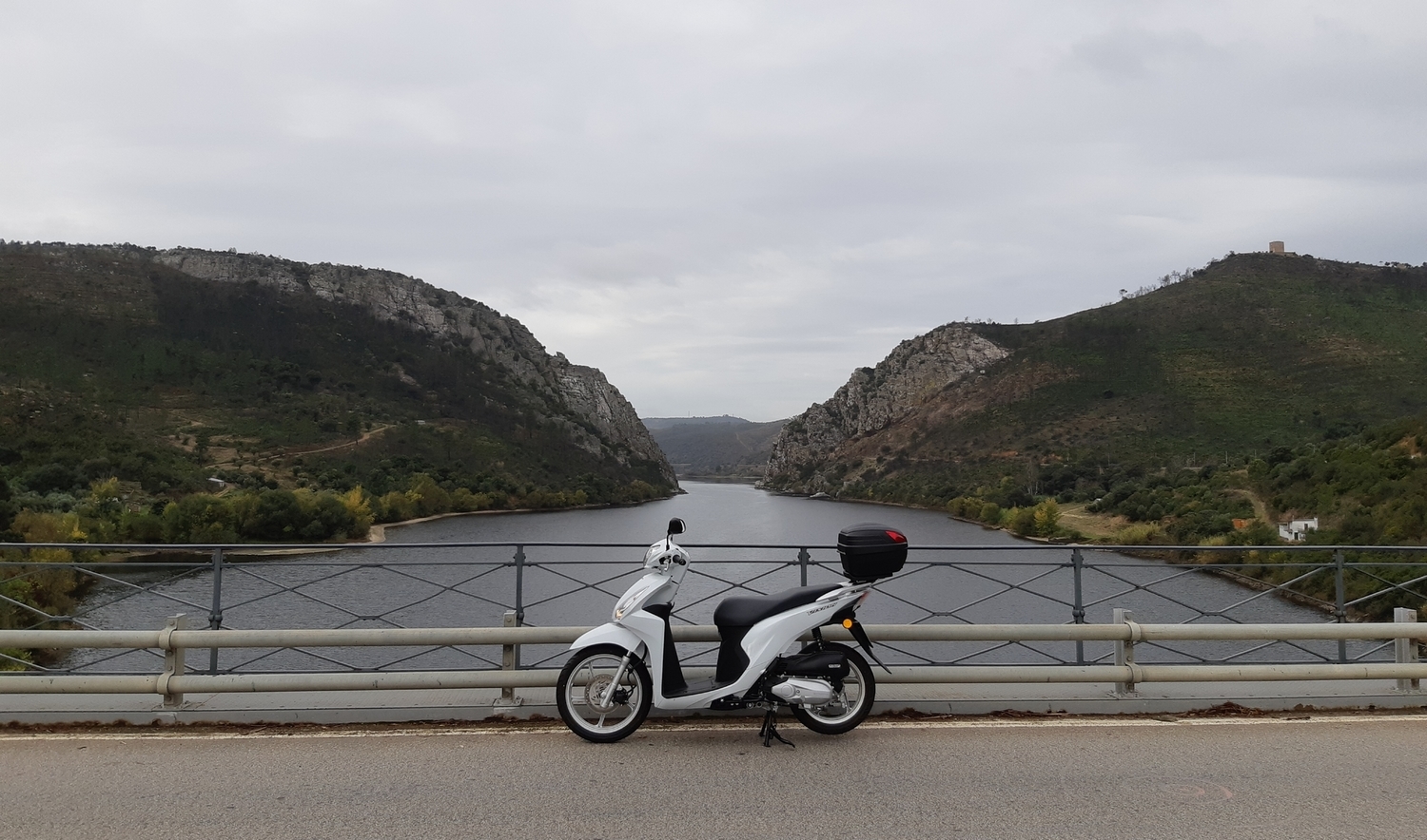 2018 HONDA VISION 110 | Picture 2816681 motorcycle photo