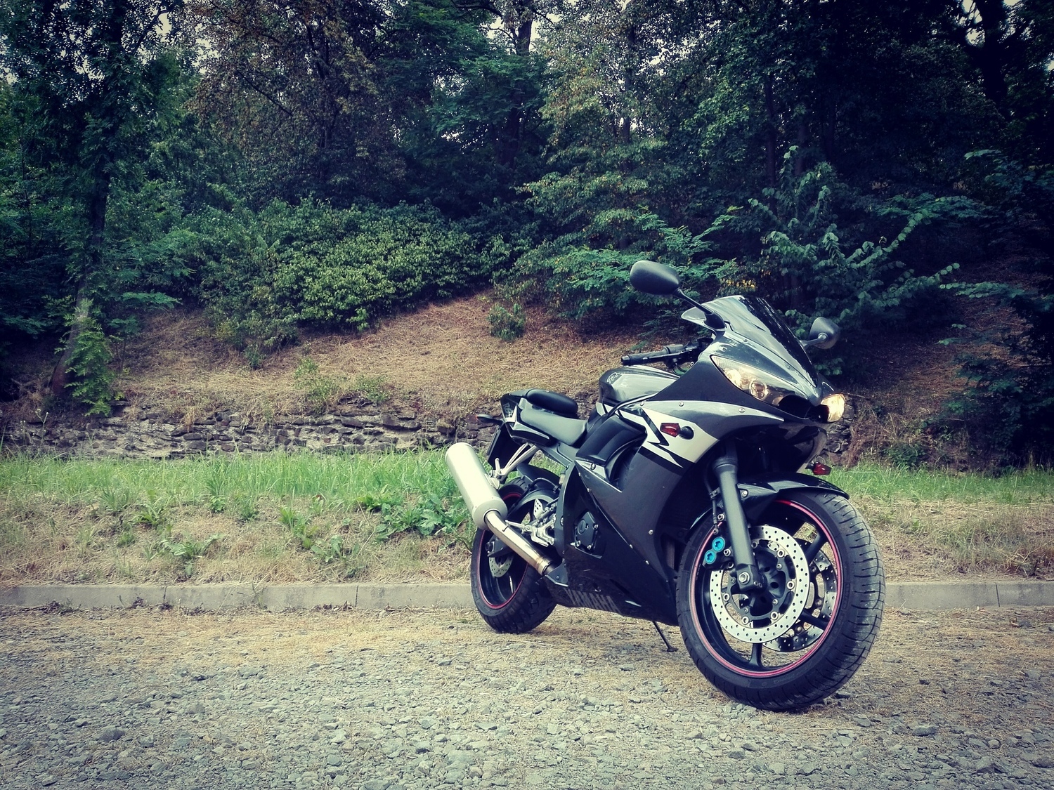 2004 YAMAHA YZF R6 | Picture 2816771 motorcycle photo