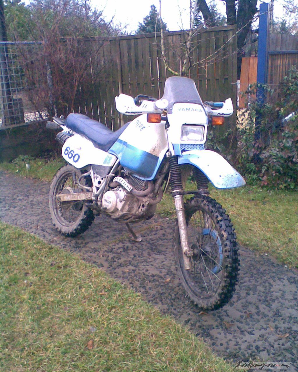 1986 YAMAHA XT 600 | Picture 2817586 motorcycle photo
