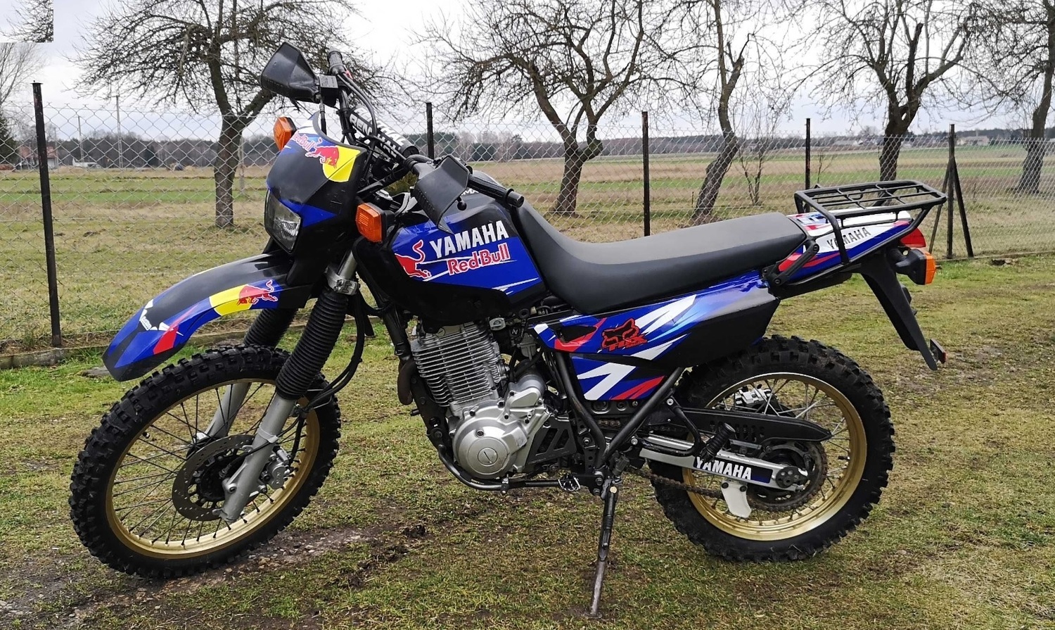 2003 YAMAHA XT600E | Picture 2817587 motorcycle photo