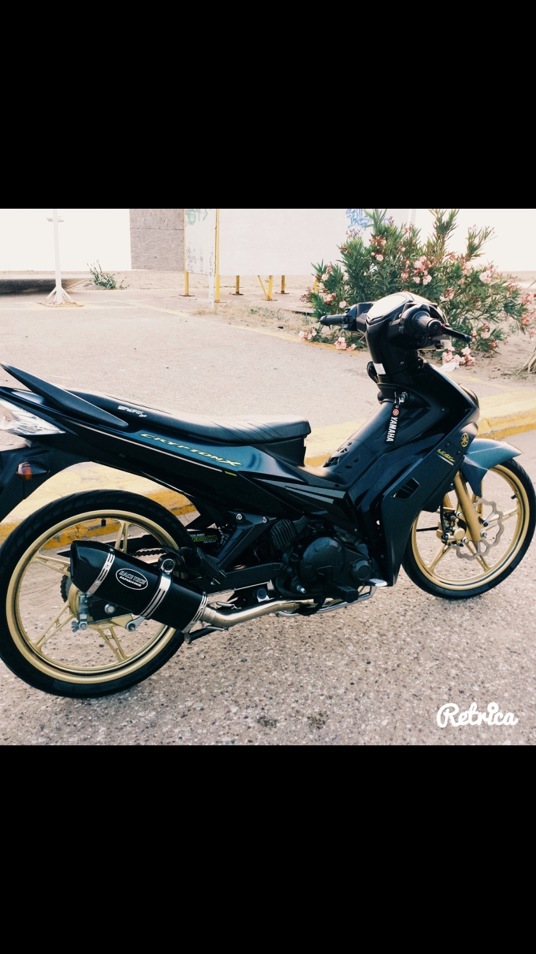 2009 YAMAHA CRYPTON X 135I | Picture 2817906 motorcycle photo