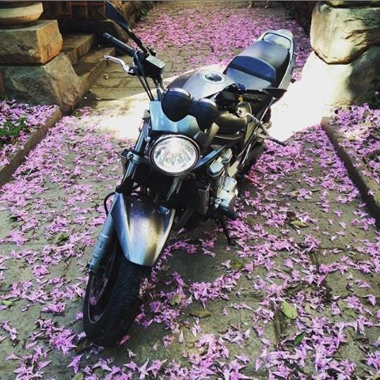 2011 SUZUKI BANDIT 1250 N | Picture 2818513 motorcycle photo