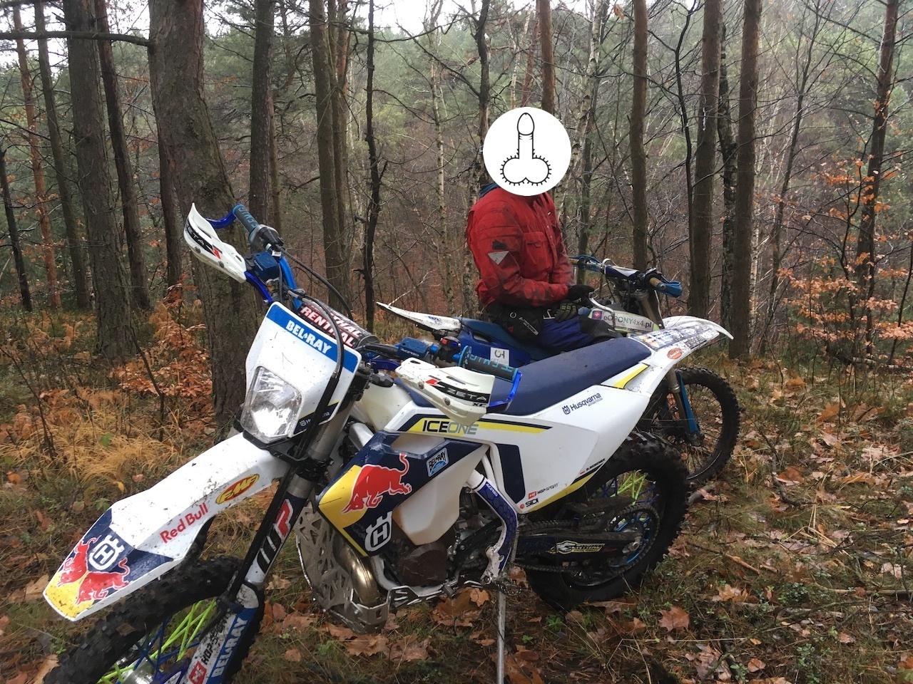2017 HUSQVARNA TE 250 | Picture 2819360 motorcycle photo