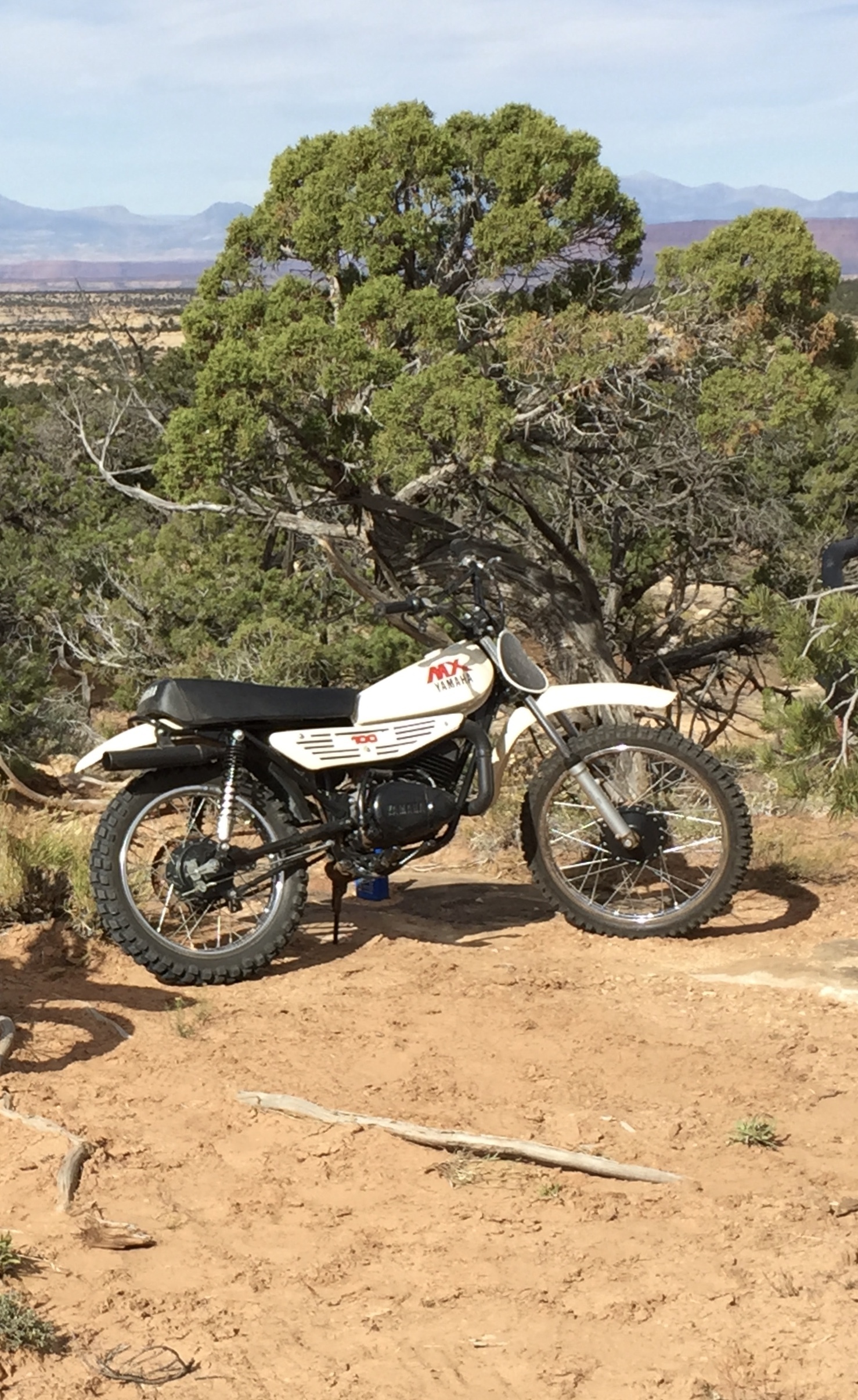 1979 YAMAHA MX 100 | Picture 2820235 motorcycle photo