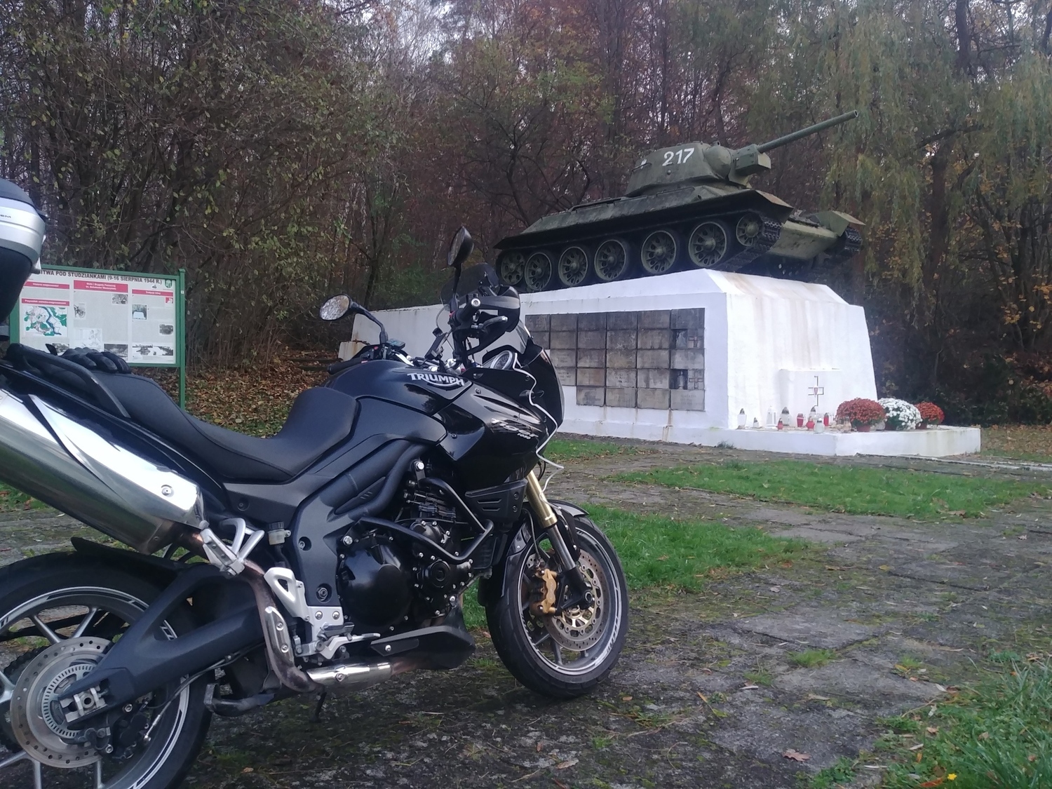 2008 TRIUMPH TIGER 1050 | Picture 2820721 motorcycle photo